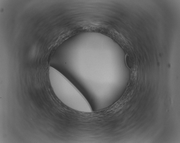 X0000082961012200702011302