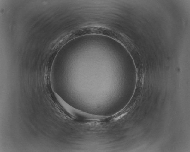X0000082961014200702011302