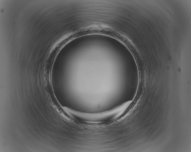 X0000082961018200702011302