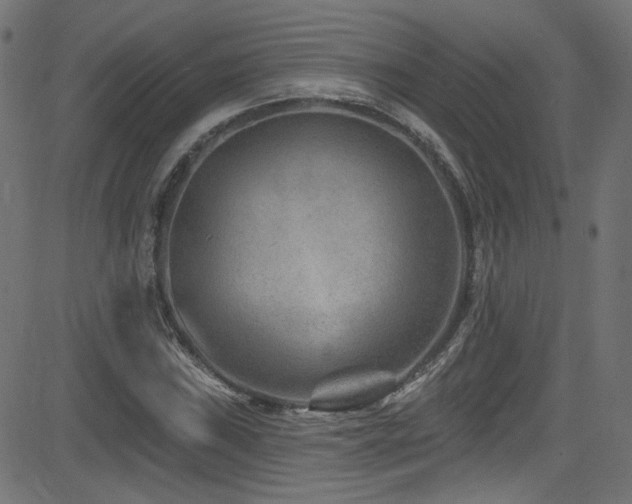 X0000082961019200702011302