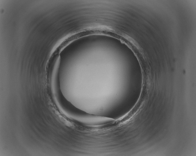 X0000082961022200702011302