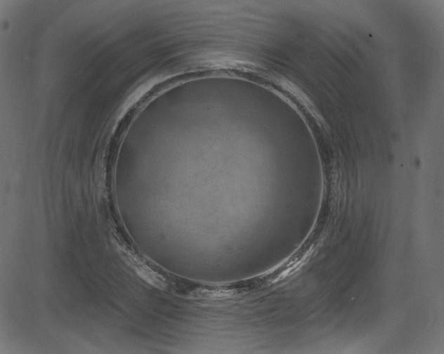 X0000082961023200702011302