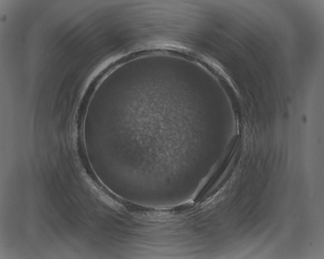 X0000082961024200702011302