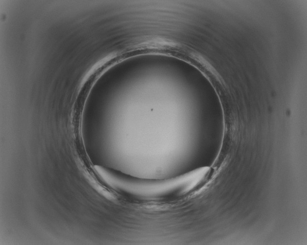 X0000082961026200702011302
