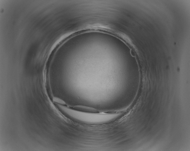 X0000082961032200702011302