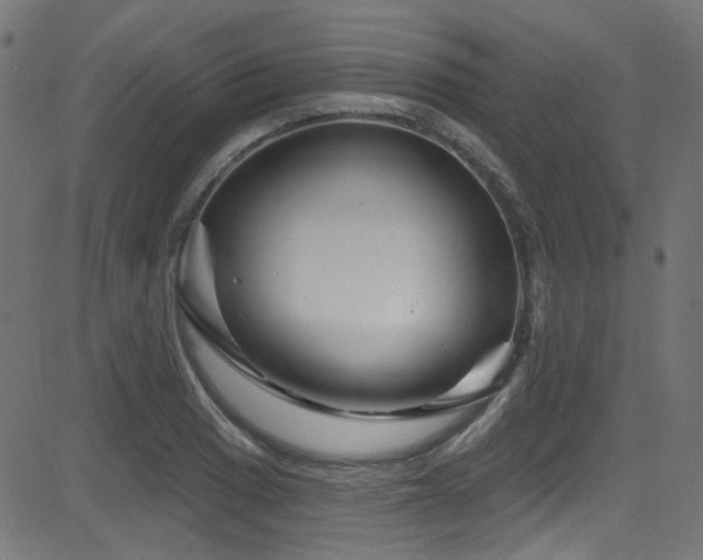X0000082961033200702011302