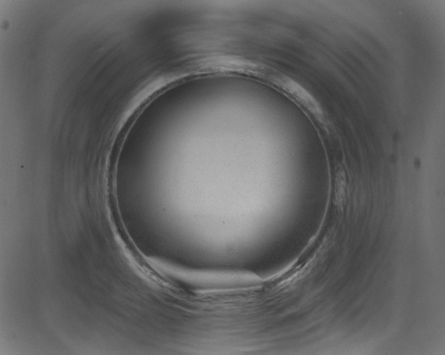 X0000082961039200702011302