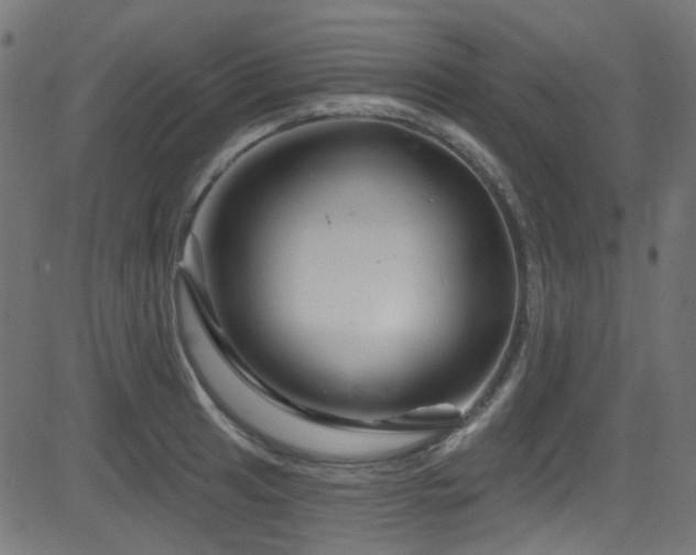X0000082961041200702011302
