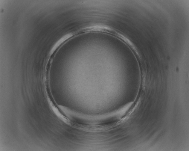 X0000082961042200702011302