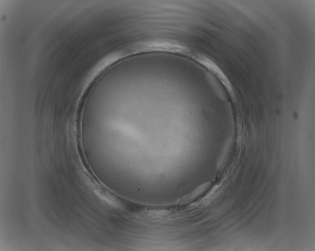 X0000082961043200702011302
