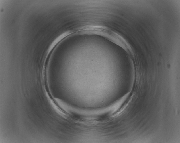 X0000082961050200702011302