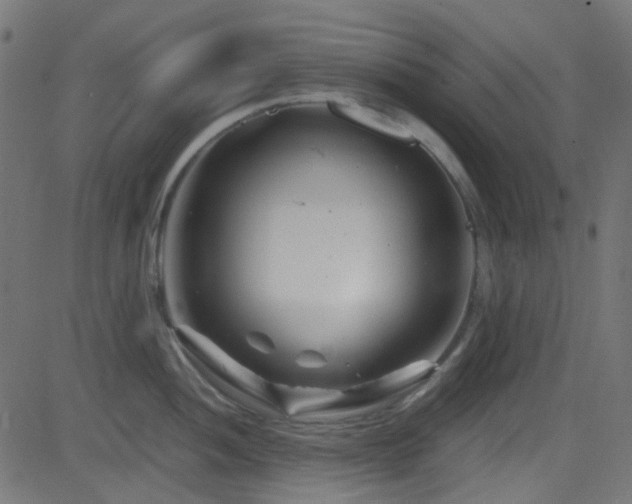 X0000082961052200702011302