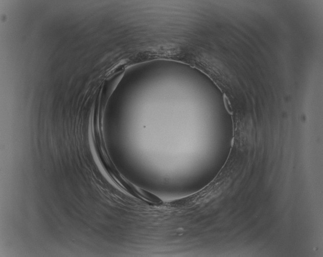 X0000082961058200702011302