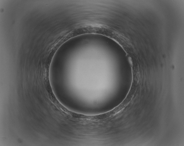 X0000082961061200702011302