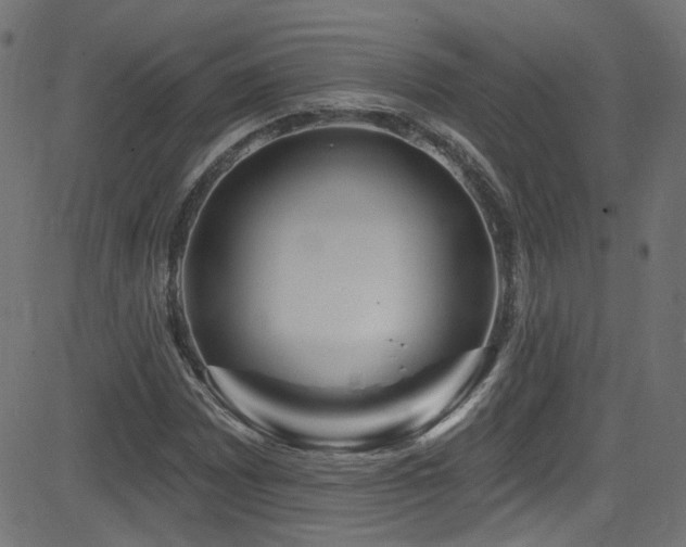 X0000082961065200702011302