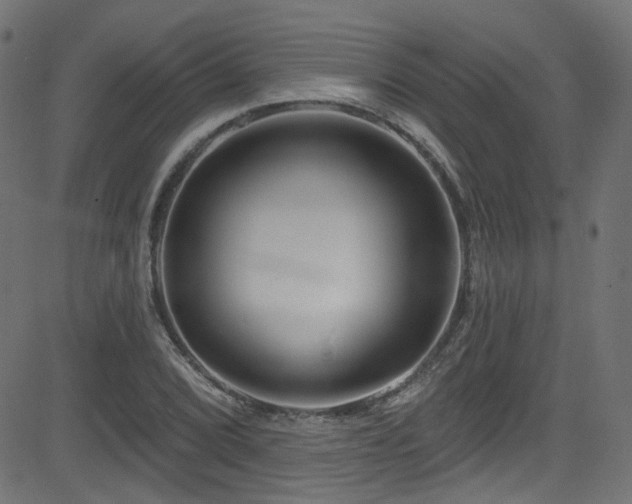X0000082961072200702011301