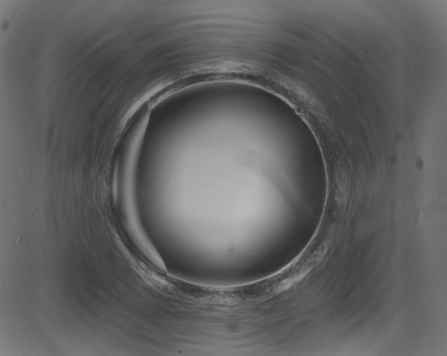 X0000082961073200702011301