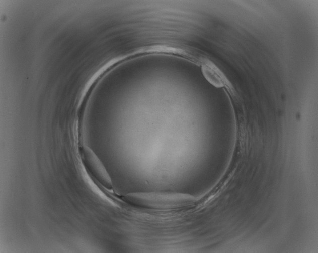 X0000082961092200702011301