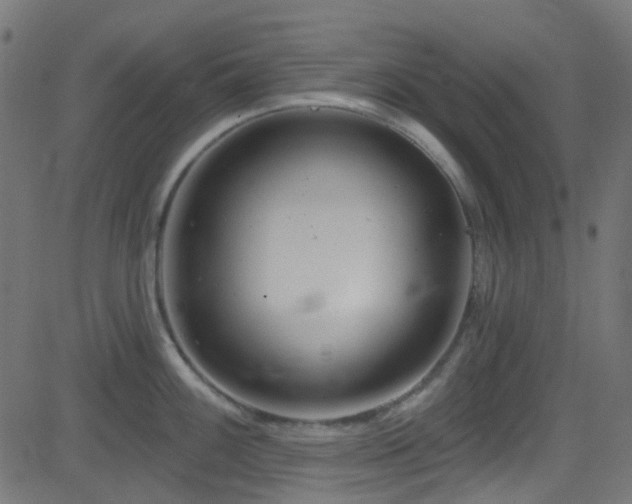 X0000082961100200702011301