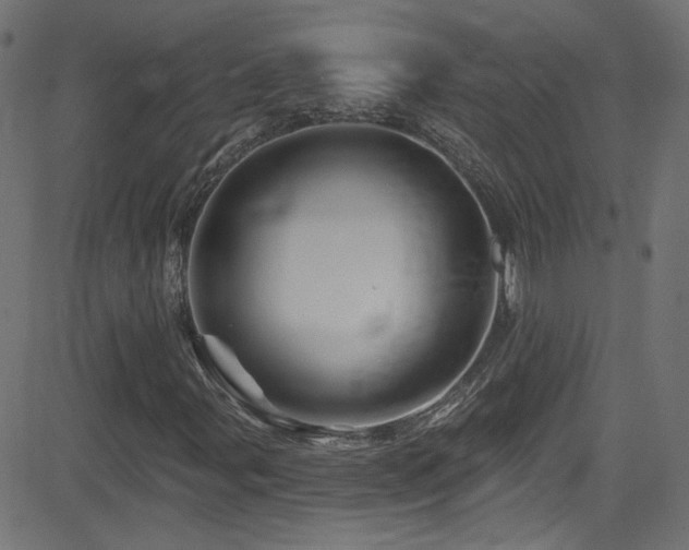 X0000082961107200702011300