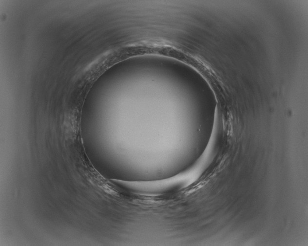 X0000082961110200702011300