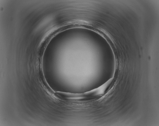 X0000082961115200702011300