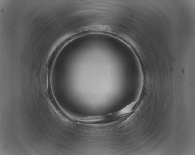 X0000082961123200702011300