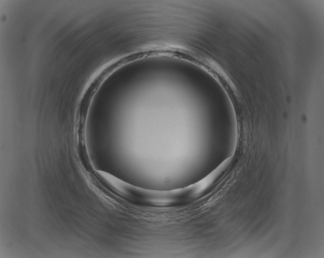 X0000082961124200702011300