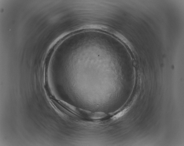X0000082961127200702011300