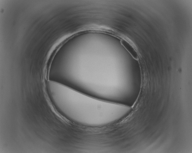 X0000082961128200702011300