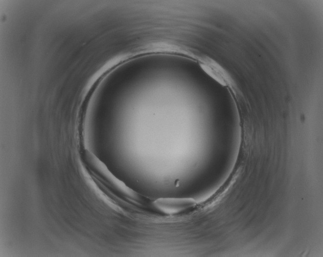 X0000082961142200702011301