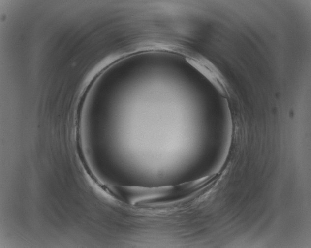 X0000082961143200702011301