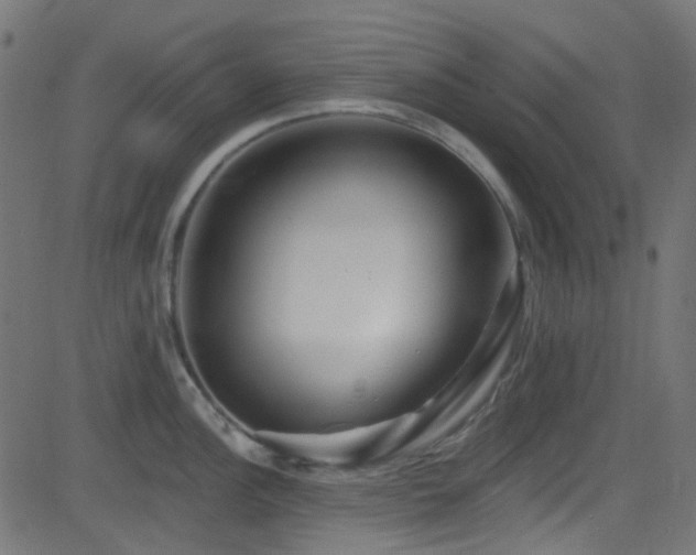 X0000082961148200702011301