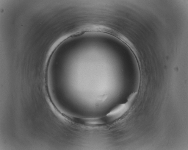 X0000082961152200702011301