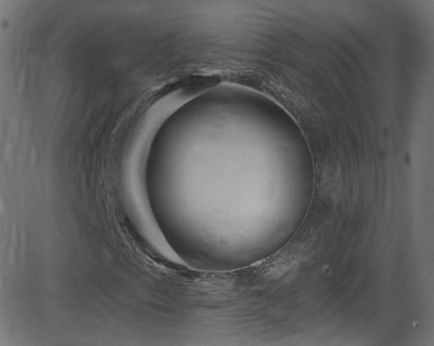 X0000082961153200702011300