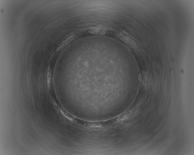 X0000082961154200702011300