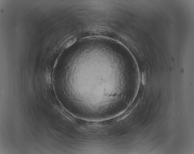X0000082961155200702011300