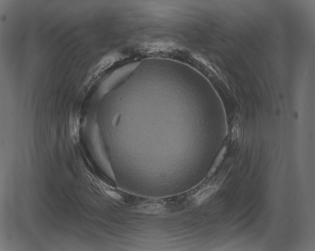 X0000082961156200702011300