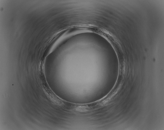 X0000082961161200702011300