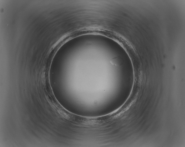 X0000082961162200702011300