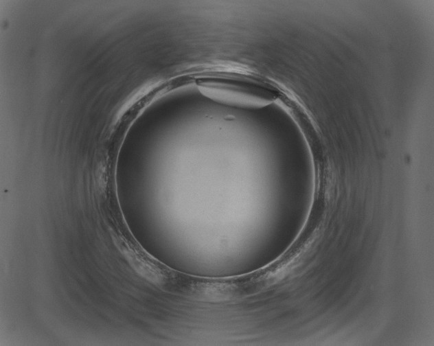 X0000082961163200702011300