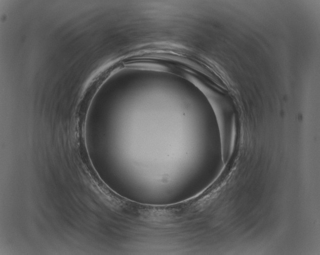X0000082961164200702011300