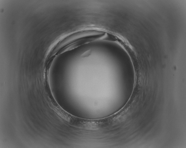 X0000082961167200702011300