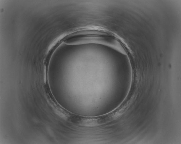 X0000082961171200702011300