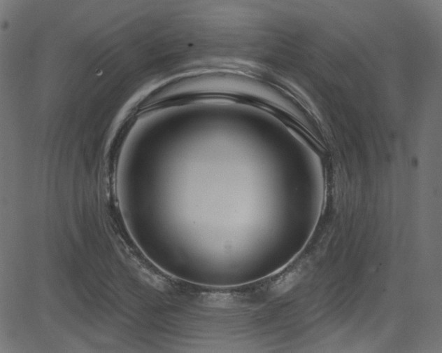X0000082961172200702011300