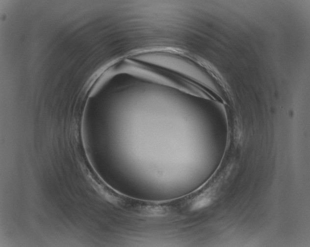 X0000082961177200702011300