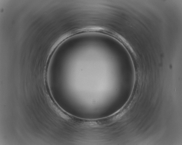 X0000082961186200702011300
