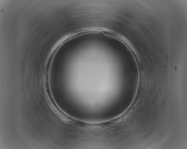 X0000082961187200702011300
