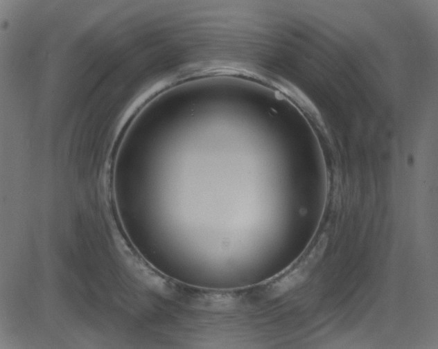 X0000082961190200702011259