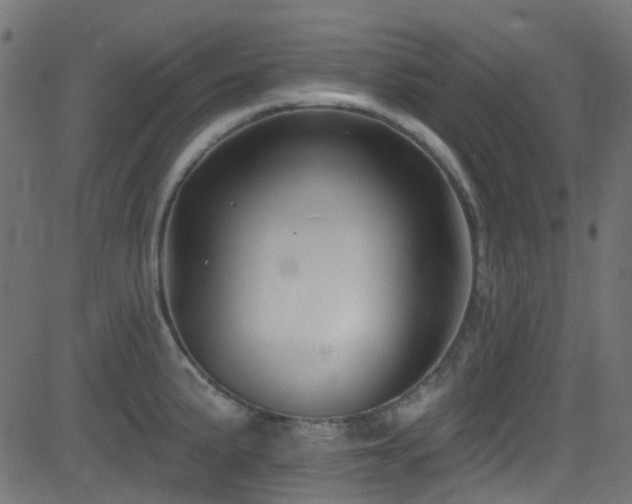 X0000082961191200702011259